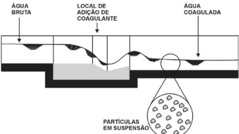 Figura 4 - Representação gráfica do processo de coagulação. 