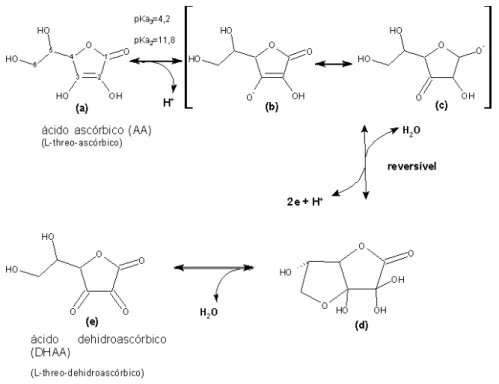 Figura 10. Natureza química do ácido ascórbico e do ácido desidroascórbico. 