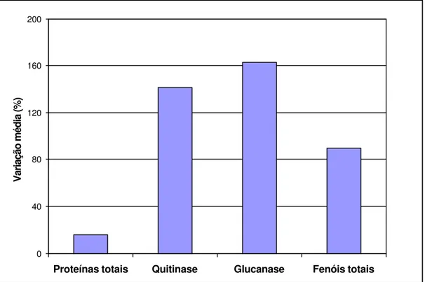 Figura 5- Variação média percentual no conteúdo de proteínas e fenóis totais e  nas atividades das enzimas ß-1,3 glucanase e quitinase em tecidos  de plantas de milho inoculadas com o fitoplasma, em relação às  plantas sadias 