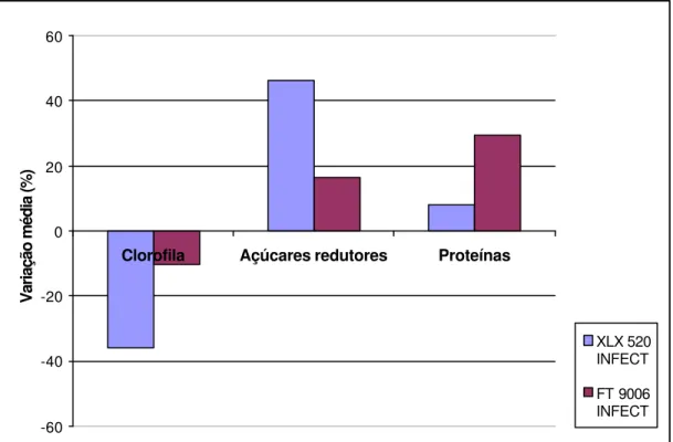 Figura 9- Variação média percentual no conteúdo de clorofila total, açúcares  redutores e proteínas totais observada nos tecidos de folhas de  plantas de milho inoculadas com fitoplasma, em relação às plantas  sadias, em dois híbridos de milho, XLX 520 (su