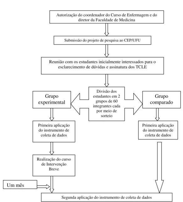 Figura 3: Fluxograma do procedimento de coleta de dados  