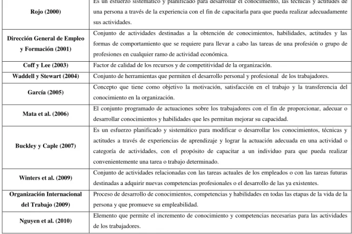 Tabla nº 15: Algunas definiciones sobre el concepto de formación 