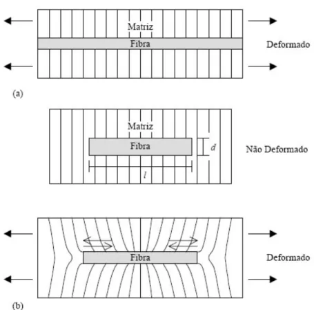 Figura 2.11 - Efeito da deformação ao redor da fibra na matriz sob tensão: (a) fibra contínua; (b) fibra  descontínua (Fonte: MATHEUWS &amp; RAWLINGS, 1994)