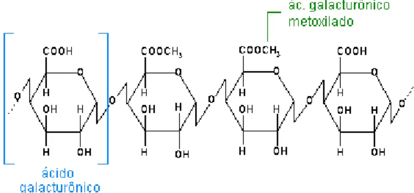 Figura 1  –  Estrutura geral das substâncias pécticas (Souza e Neves, 2012) 
