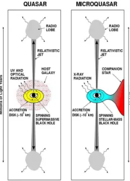 Figura 1.5: Similaridades morfol´ ogicas e diferen¸cas de escala entre NAGs/quasares (`a esquerda) e micro- micro-quasares (`a direita)