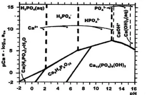 FIGURA 7 - Diagrama de estabilidade do sistema Ca-P-H 2 O a 25 0 C  Fonte - Ogasawara et al