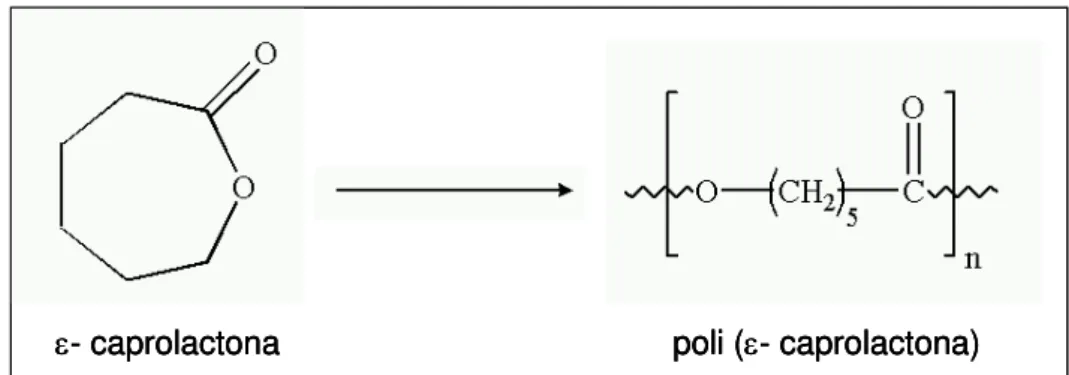 FIGURA  8  -  Obtenção  do  poli(-caprolactona)  após  polimerização  por abertura do anel 