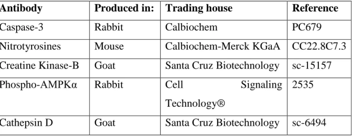 Table  2.2-  Informative  description  of  the  secondary  antibodies  used  in  Western  blot  experiments