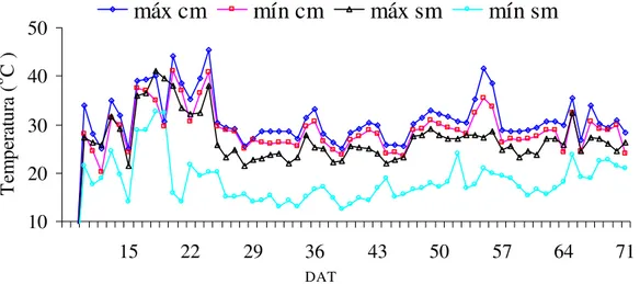 Figura 4- Temperatura diária do solo máxima (max) e mínima (min) para a profundidade de 5  cm,com mulching plástico no solo (cm) e sem mulching (sm), para irrigação nível I3 em  ambiente protegido - Piracicaba, SP, 2007 