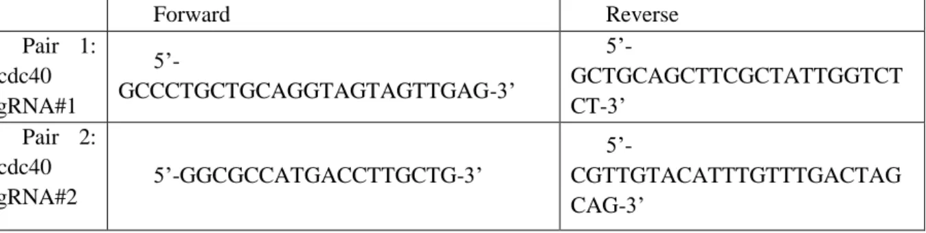 Table 2 - Primers flanking the CRISPR - Cas9 target sites. 
