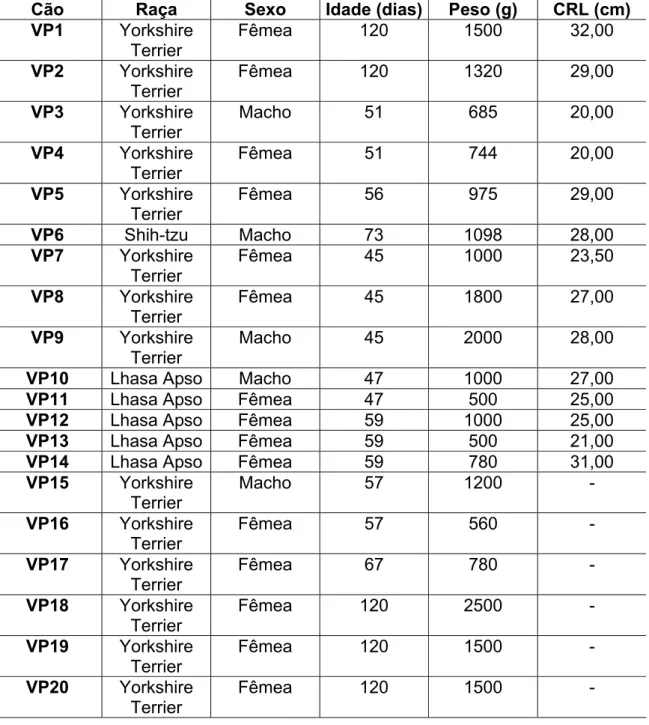 Tabela 1 -  Relação de cães do grupo controle utilizados para o estudo     morfométrico e hemodinâmico da veia porta, São Paulo, (2008)     