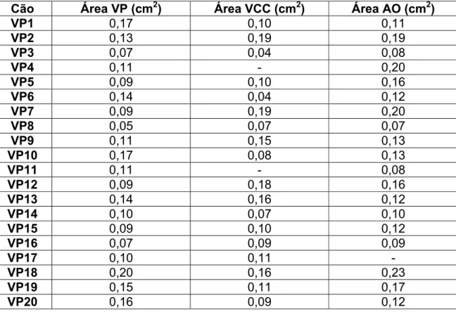 Tabela 6 - Cálculo da área da veia porta, veia cava caudal e aorta abdominal em  cães do grupo controle, São Paulo, SP (2008) 