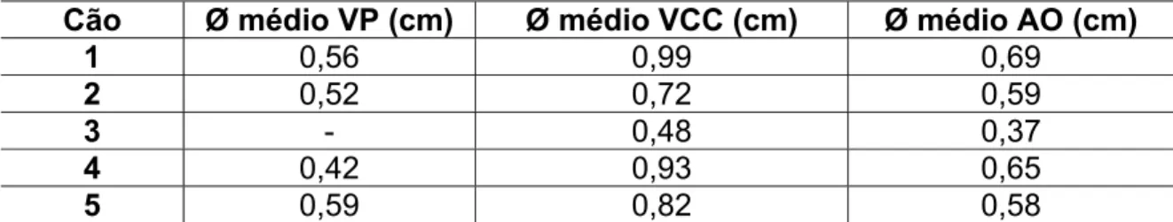 Tabela 14. Comparação entre os diâmetros vasculares em machos e em fêmeas  no grupo de cães controle utilizando o teste de Mann-Whitney, São Paulo, SP,  (2008) 