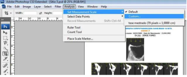 Figura 4.14 - Adequando as imagens por meio do recurso measurement scale 