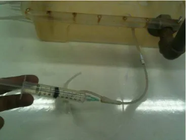 Figura 4: Equipo de soro com injetor lateral adaptada na lateral dos cultivos para amostragem e adição de  nutrientes