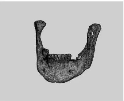 Figura 4.1 Observação da malha de triângulos 