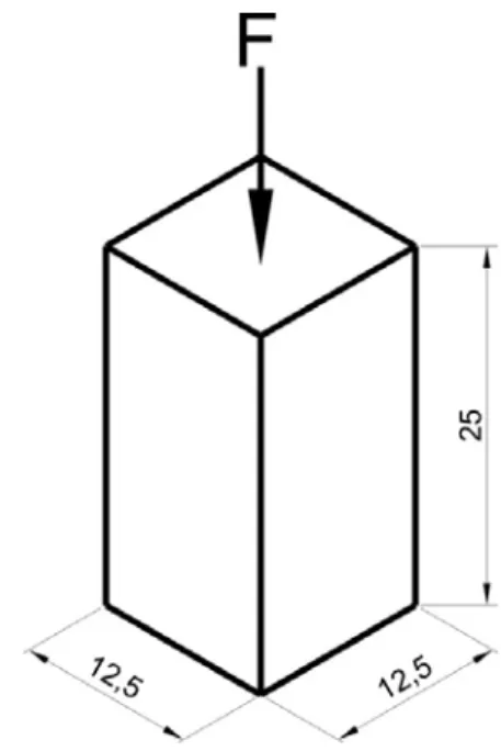 Figura 15 - Geometria do Corpo de Prova para  ensaio de fluência. 