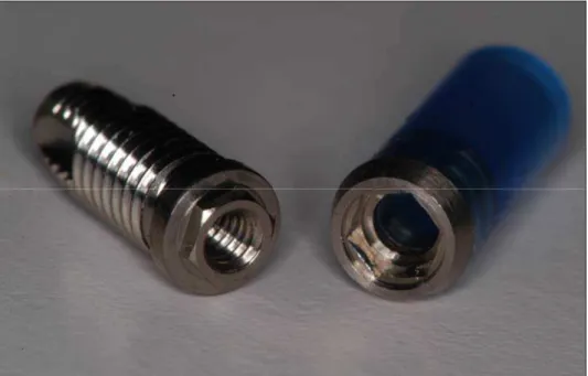 FIGURA 4.1 – Implante e pilar protético com conexão tipo  hexágono externo. 