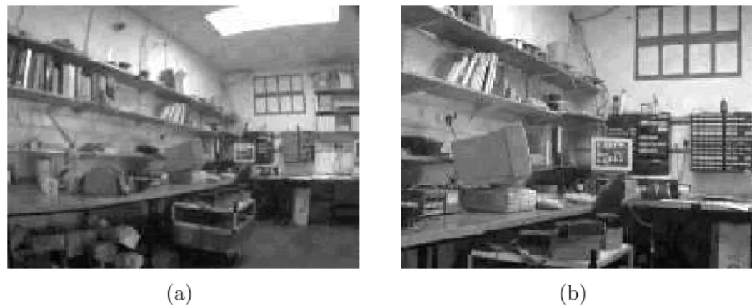 Figura 3.7: Distor¸c˜ao Radial × Distˆancia Focal. (a) Distˆancia focal curta. (b) Distˆancia focal longa.