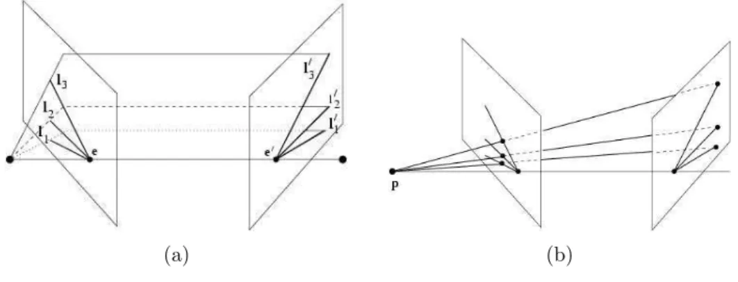 Figura 4.4: Homografia da Reta Epipolar. (a) Feixes de retas epipolares. (b) Transforma¸c˜ao perspectiva entre retas epipolares.