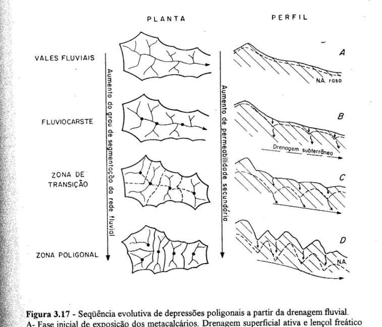 Figura  3.17  -  Seqüência  evolutiva  de depressões  poligonais  a  partir  da drenagem  fluvial.