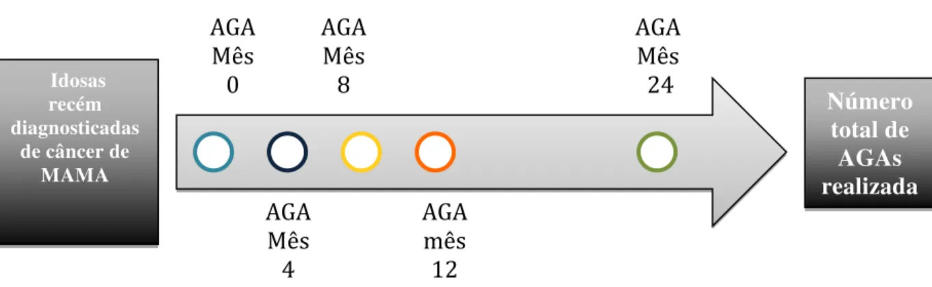 Figura 5 -   Fluxograma  da  aplicação  da  AGA  nas  idosas  com  C6ancer  de  mama 