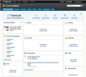 Figura 7 – Aspeto da plataforma TeamLab 