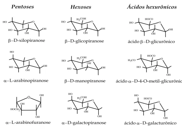 FIGURA 6 -Estruturas de unidades de monossacarídeos presentes nas hemiceluloses (poliose) 