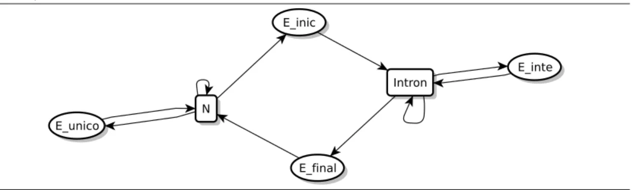 Figura 3.1: Exemplo de uma GHMM. Os retângulos são estados que emitem palavras de tamanho fixo, e as elipses são estados que emitem palavras de tamanho variável: E_unico (éxon único); N (região intergênica); E_inic (éxon inicial); Intron (íntron); E_inte (