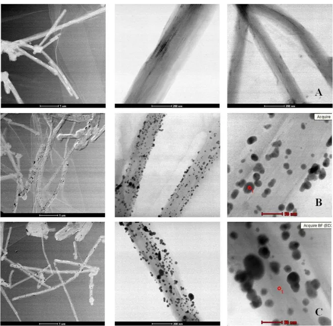 Figura 4 - Imagens de MET dos nanotubos de carbono funcionalizados (A) e nanotubos de carbono modificados  com nanopartículas de ouro, obtidas a partir da síntese 1 (B) e síntese 2 (C) 