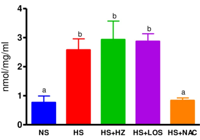 Figura  15.  TBARS  cardíaco  (nmol/mg/mL)  em  ratos  Wistar  alimentados  com  dieta normossódica (NS, n=6), hipersódica (HS, n=6), hipersódica + hidralazina  (HS+HZ,  n=6),  hipersódica  +  losartan  (HS+LOS,  n=6)  ou  hipersódica  +  N-acetilcisteína 