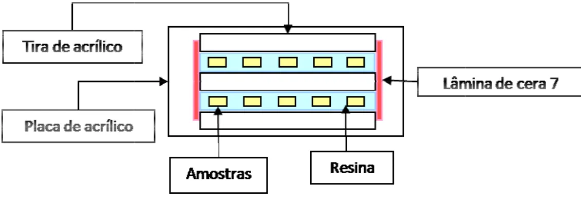 FIGURA 7 - Ilustração das A  formação  desmineralizadora anteri com as amostras foram c durante 32 h em uma inc com água destilada e dei grupo LED+RE foram irrad