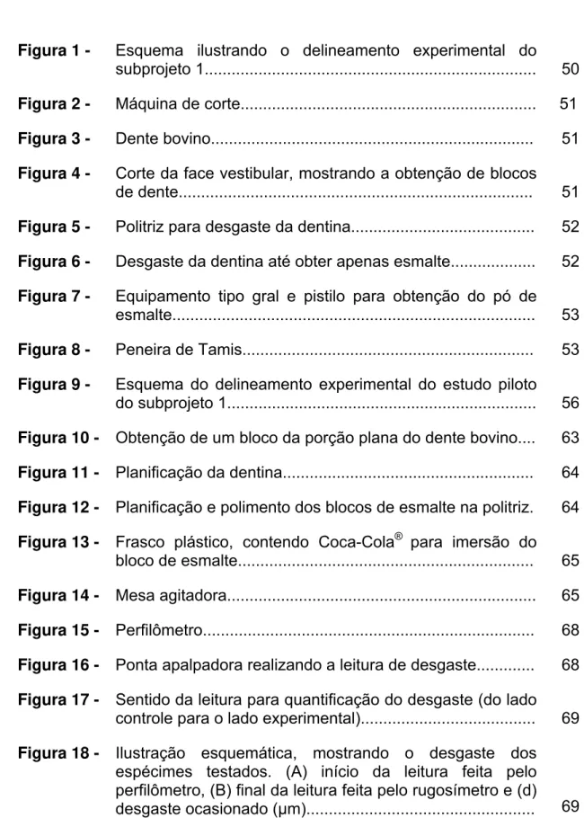 Figura 1 -  Esquema ilustrando o delineamento experimental do  subprojeto 1.........................................................................