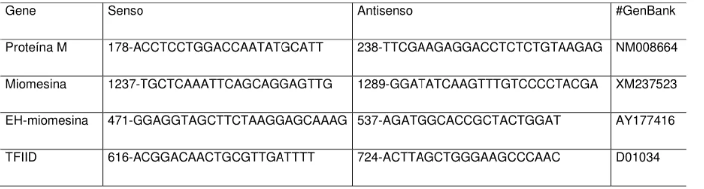 Tabela 1. Lista de primers utilizados nas reações de PCR em Tempo Real.  