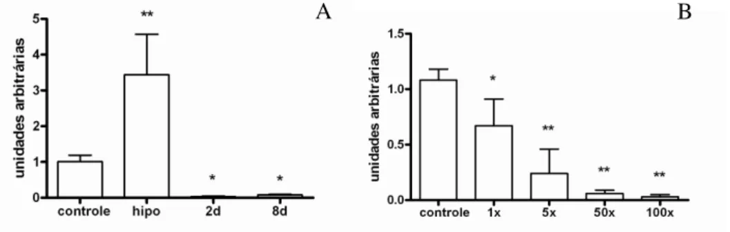 Figura 5. (A) Expressão gênica de proteína M no coração de ratos induzidos ao hipertiroidismo  e  hipotiroidismo  experimental