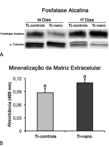 Figura 8. Expressão da proteína Alp (A) e mineralização da matriz extracelular (B) de CTMs humanas,  diferenciadas em osteoblastos, cultivadas em meio osteogênico sobre superfícies de Ti controle e Ti com  nanotopografia