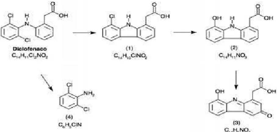 Figura 10 - Mecanismo inicial de degradação do diclofenaco via fotólise. Fonte: Pinto (2003)
