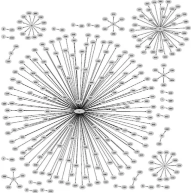 Figura 10 - Estrutura da rede: bancos e firmas. Fonte: Gatti et al. (2009). 