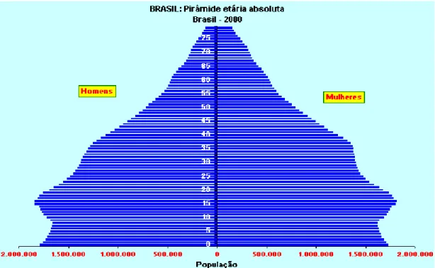 Figura 1. Pirâmide populacional brasileira no ano de 2000 