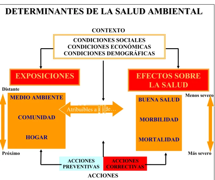Figura No.4: Diagrama Modelo Múltiple Exposiciones-Múltiples Efectos (MEME) 