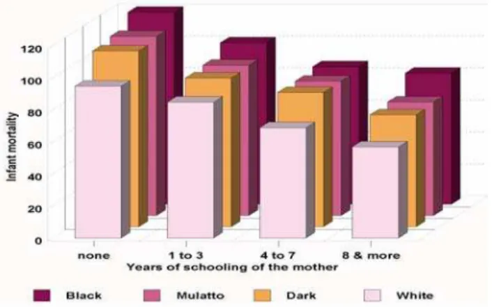 Figure 1 shows the results of cross-correlating level of schooling, as a proxy variable for  living standard, with infant mortality and the race of the mother
