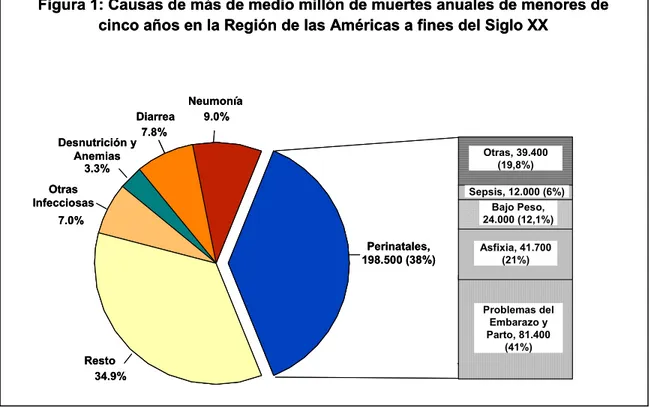 Figura 1: Causas de más de medio millón de muertes anuales de menores de  cinco años en la Región de las Américas a fines del Siglo XX