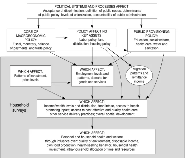 FIGURE 1. Framework for the relationships of health inequalities and their determinants and the part covered by the data in general-purpose household surveys a
