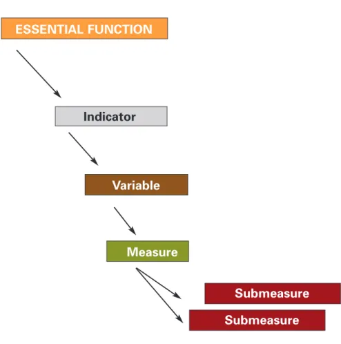 Figure 1 Format for the Performance Measurement  Instrument ESSENTIAL FUNCTION Indicator Variable Measure Submeasure Submeasure