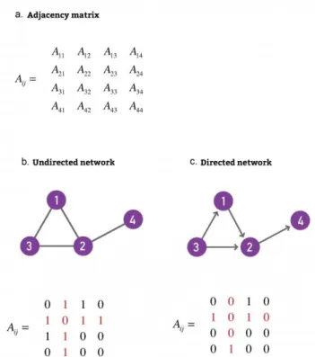 Figure 2.1- Adjacency matrix of undirected and directed network. Adapted from [10]. 