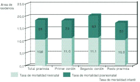 Gráfico  4