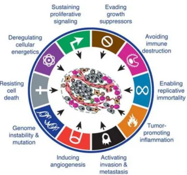 Figure  1.1-  Hallmarks  of  cancer.  This  figure  encompasses  the  classic  hallmarks  of  cancer  along  with  the  two  new  emerging hallmarks and enabling characteristics
