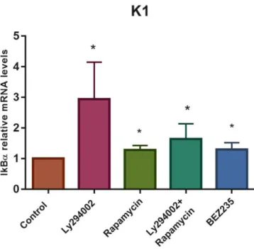Figure 4.1- PI3K signalling inhibition is associated with an increase of NF-κB activation readout in K1 cells