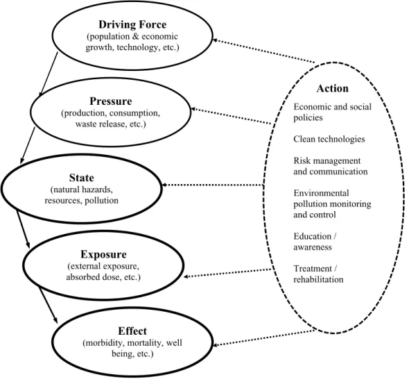 Figure 2.    The Driving Forces, Pressure, State, Exposure, Effect, Action (DPSEEA)   model of WHO (WHO, 1999:5) 