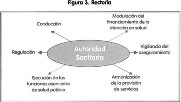 Figura 3. Rectoria